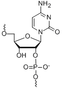 Bio-Synthesis Inc. Oligo Structure